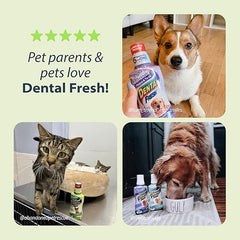 Synergy Labs Dental Fresh Original Formula For Cats 237ml