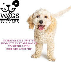 Wags AND Wiggles Kiddie outdoor Shampoo