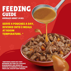 Friskies Gravy Turkey 85g