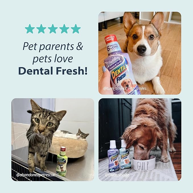 Synergy Labs Original Formula Dental Fresh - Dog 503ml [17 Fl. Oz.]