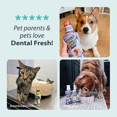 Synergy Labs Original Formula Dental Fresh - Dog 503ml [17 Fl. Oz.]