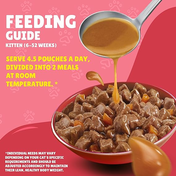 Friskies Junior Gravy Chicken 85g