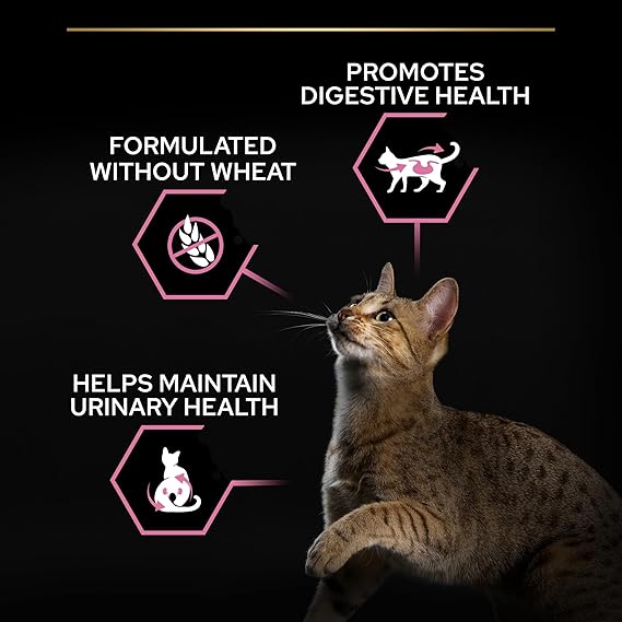 PRO PLAN STERILISED ADULT DELICATE DIGESTION DRY CAT FOOD WITH CHICKEN, 3 KG