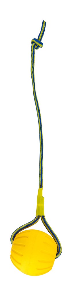 Rubber Dog Training Toy