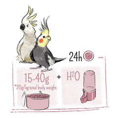 Witte Molen Puur Large Parakeet & Cockatoo 2kg