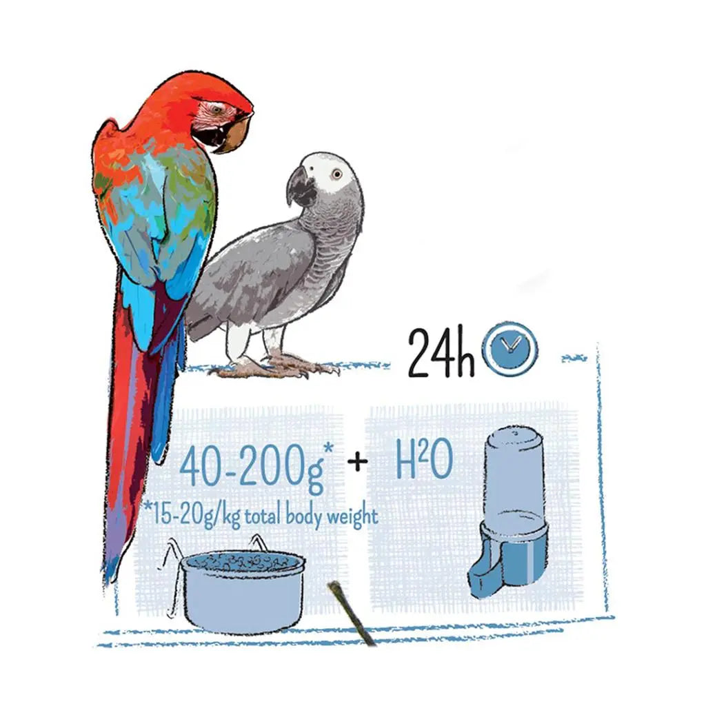 Witte Molen Puur Parrot 2kg