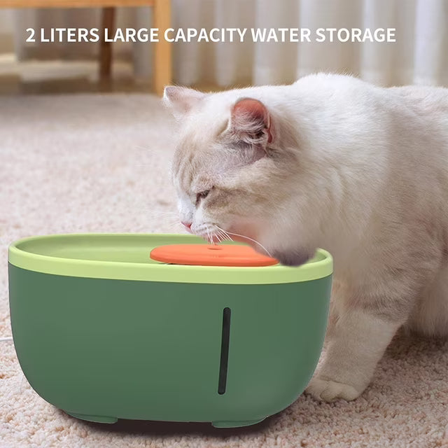 SP AvacadoShaped Automatic Water Fountain