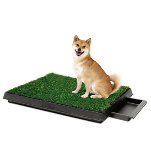 SAAS  Dog Toilet 51*63 cm