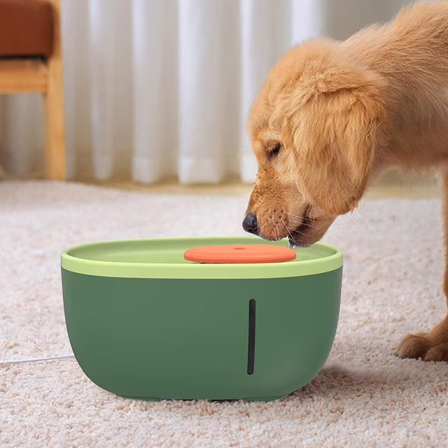 SP AvacadoShaped Automatic Water Fountain