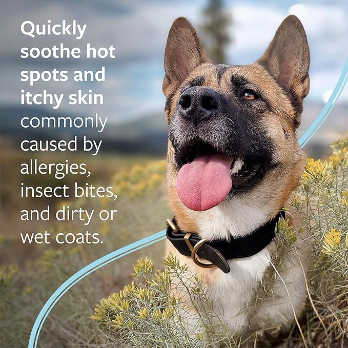 Synergy Labs Veterinary Formula Clinical Care Hot Spot & Itch Relief Medicated Shampoo For Dogs & Cats[Volume - 473ml]