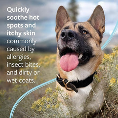 Synergy Labs Veterinary Formula Clinical Care Hot Spot & Itch Relief Medicated Shampoo For Dogs & Cats[Volume - 473ml]
