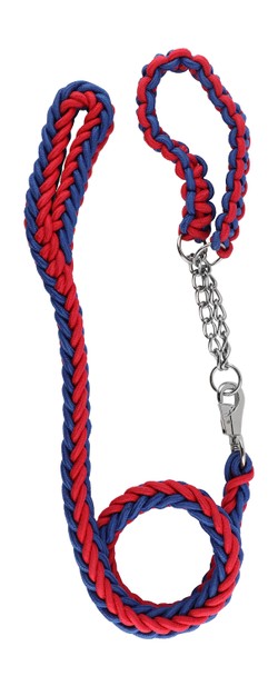 dog leash red