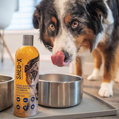 Synergy Labs Shed-X Supplement For Dogs 473ml