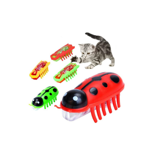 Saas Cat Electric Ladybug Toy SA2235