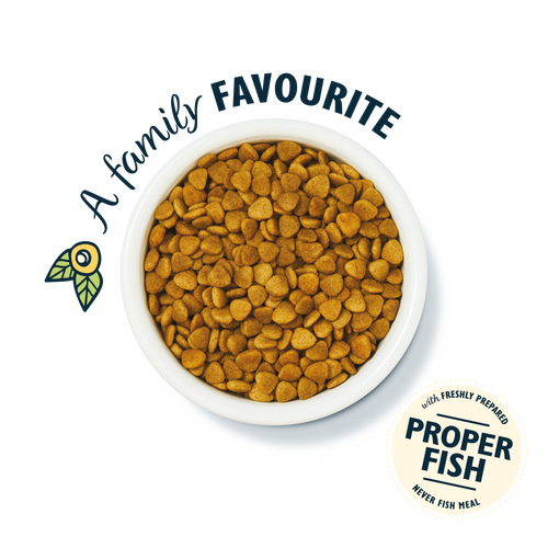 Lily's Kitchen Fisherman's Feast White Fish & Salmon Dry Cat Food 2kg