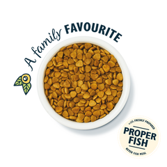Lily's Kitchen Fisherman's Feast White Fish & Salmon Dry Cat Food 2kg