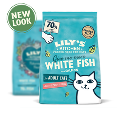 Lily's Kitchen Fisherman's Feast White Fish & Salmon Dry Cat Food 2kg