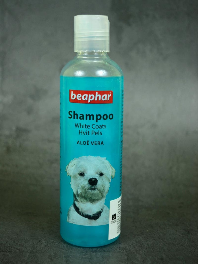 Shampoo Aloe Vera Blue 250ml