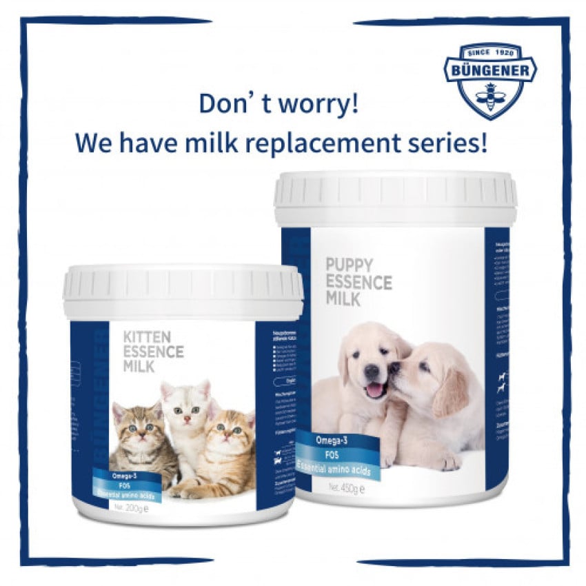 Bungener Kitten Essence Milk-200g