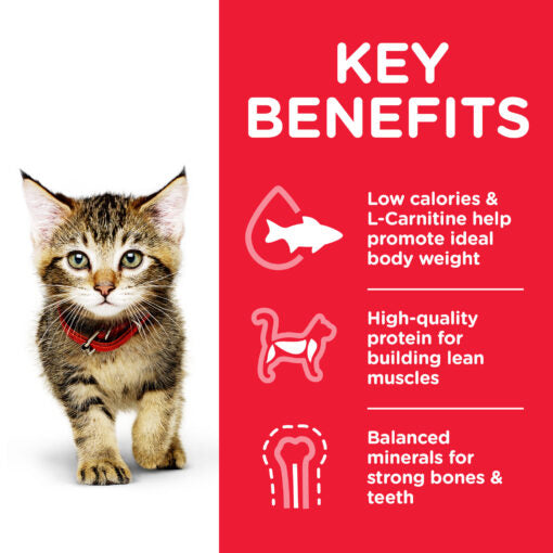 Hill’s  Kitten Food With Chicken (1.5kg)