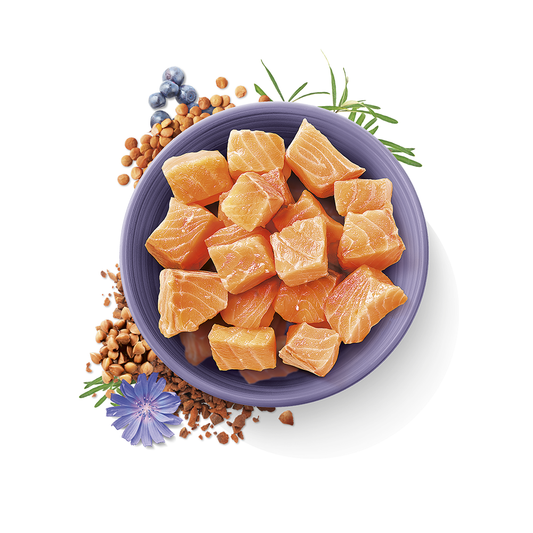 carnilove true fresh fish for adult cats 1.8g