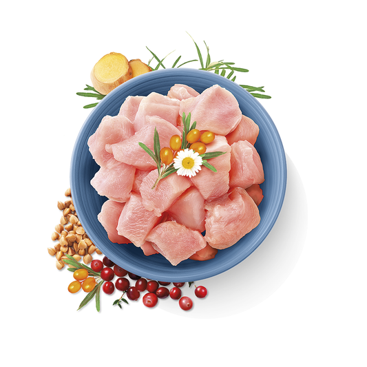 carnilove true fresh turkey for adult cats 1.8kg