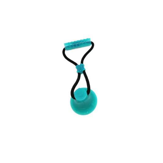 SAAS DOG TRAINING CHWE TOY 1790