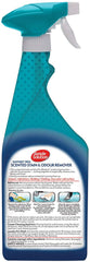 S S Dog Stain and Odour Remover Rainforest Fresh – 750 ml