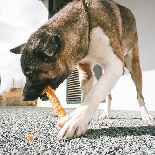 Duvo+ Meat! Chicken & Rawhide Sticks Large 2p