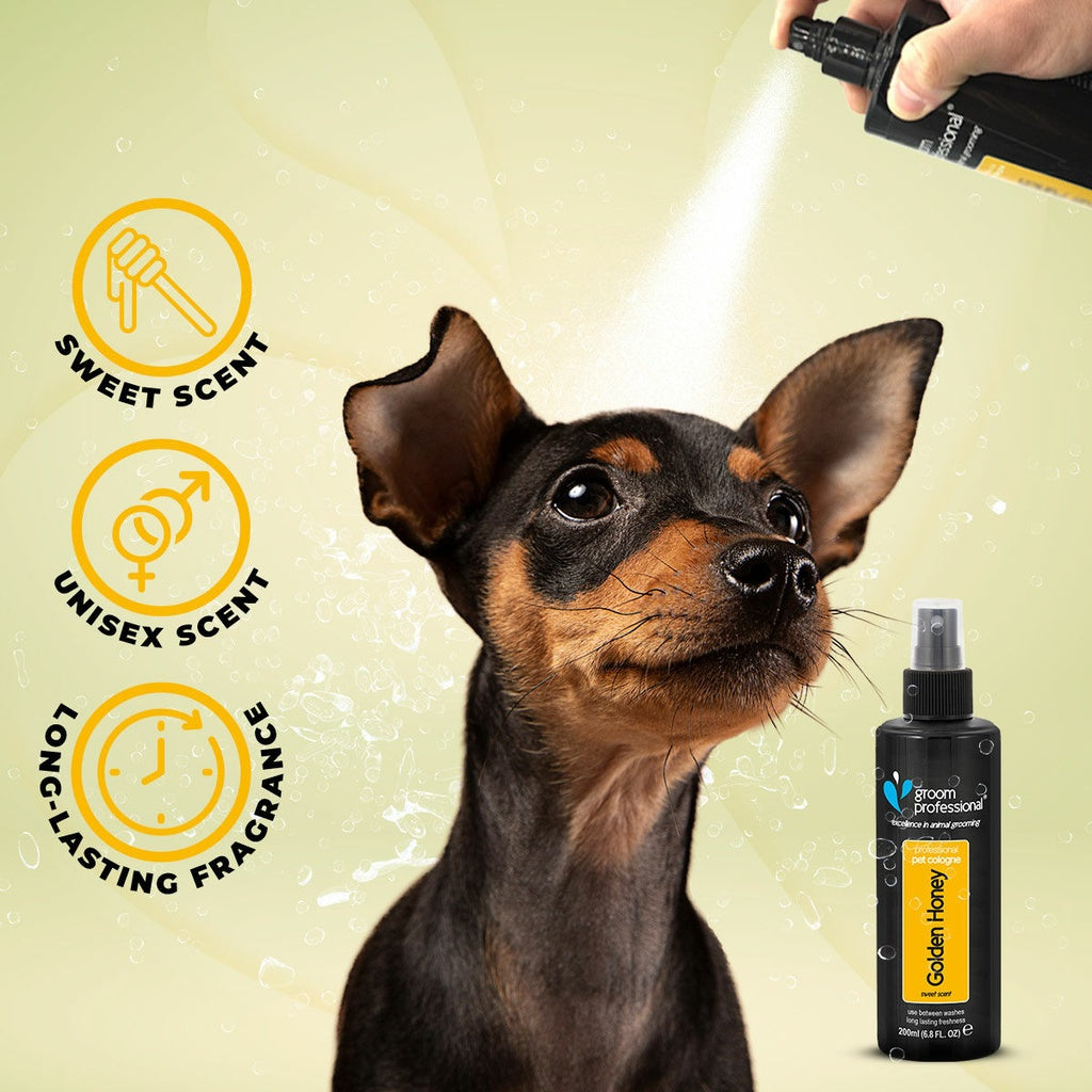 Groom Professional Golden Honey perfume
