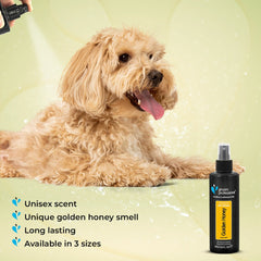 Groom Professional Golden Honey perfume