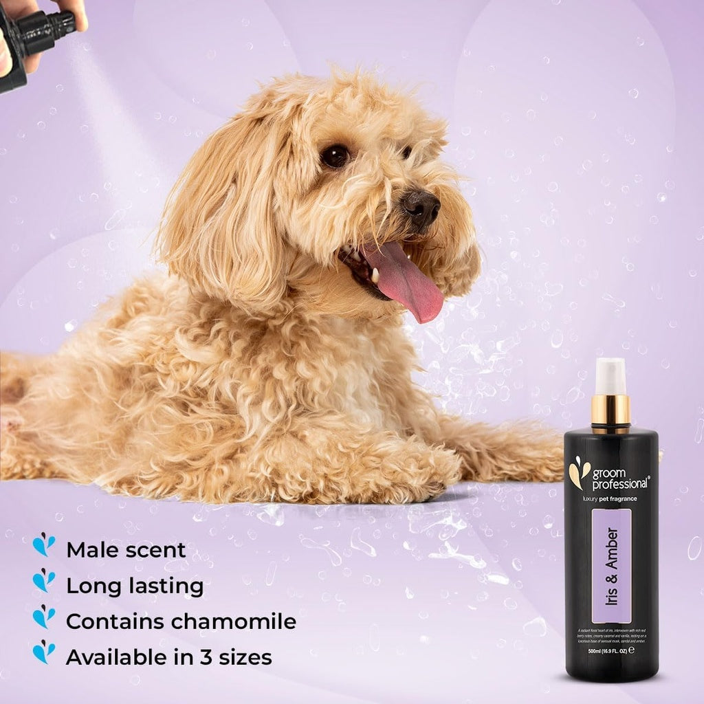 Groom Professional Iris ANDAmber Perfume 200 ml