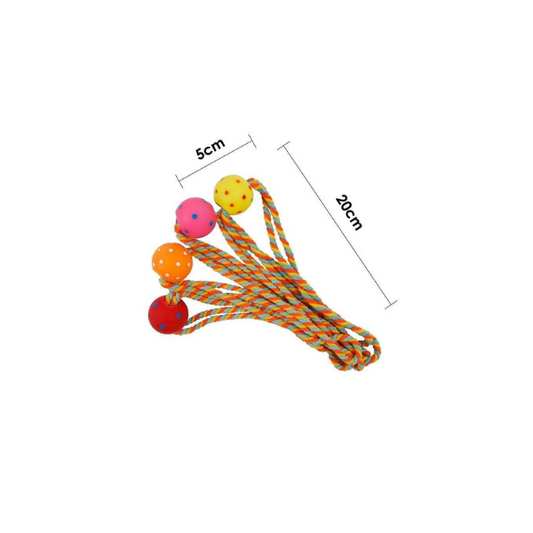 Saas pets vinyl squeaky toys SA1950