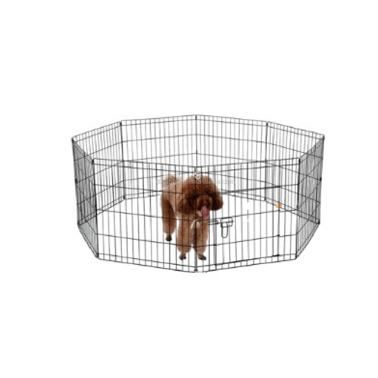 Saas Doy Play Pen 76*61 cm 30 inch