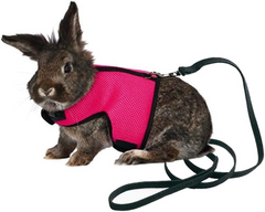 Small Animal Harness Set (Large) 5280691