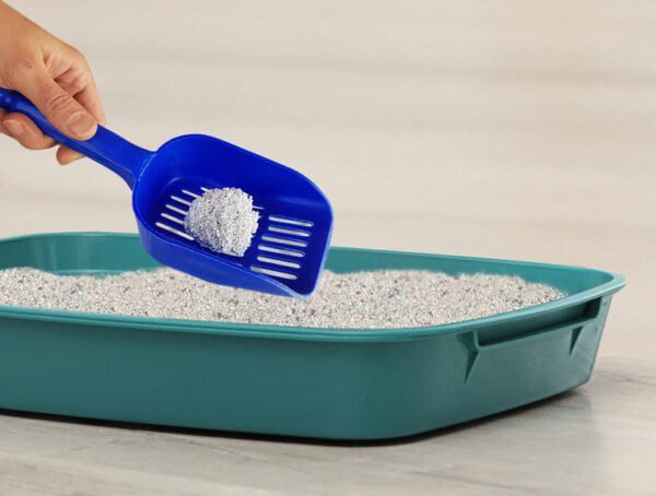 Kiki Kat White Bentonite Clumping Cat litter –Natural – 20 L (17.4 KG )
