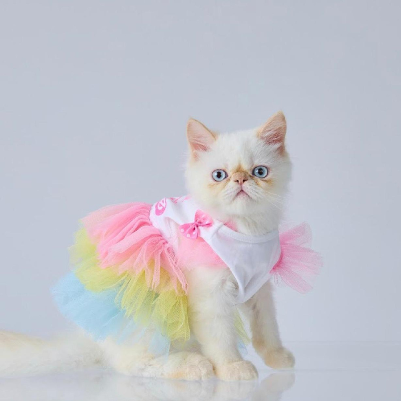 Saas Pet Dress Barbie SA2735