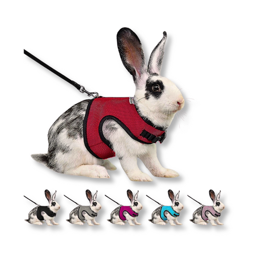 Small Animal Harness Set (Small) 5280689