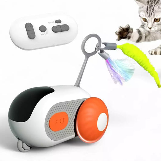 Saas Remote Control Cat toy ct081