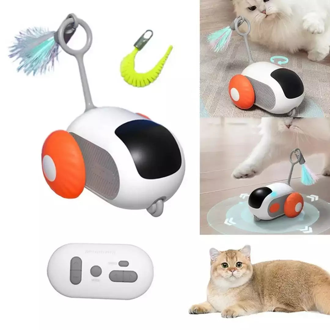 Saas Remote Control Cat toy ct081