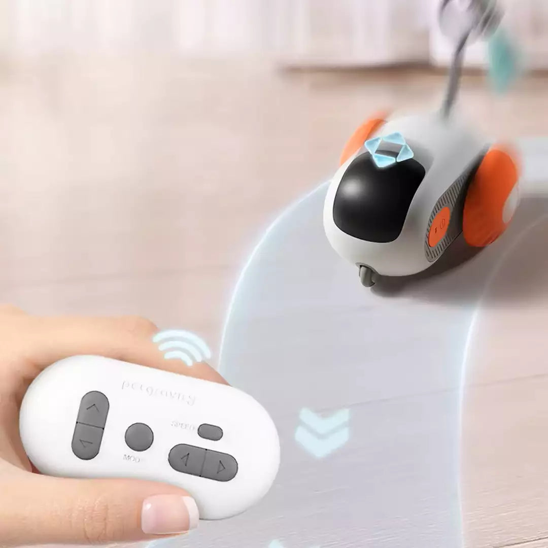 Saas Remote Control Cat toy ct081