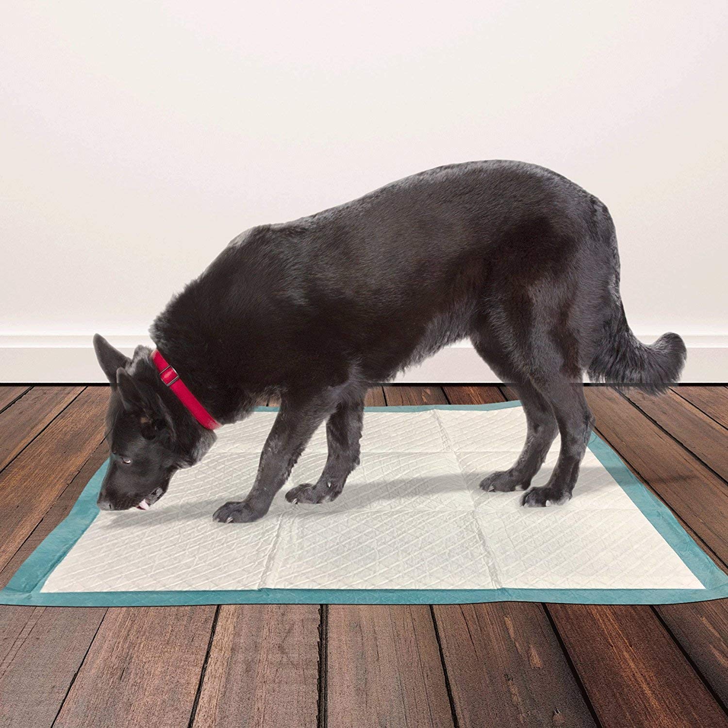 Puppy Training Pads XL – 10pcs