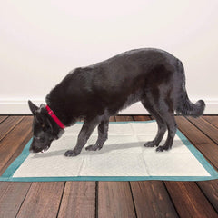 Puppy Training Pads XL – 10pcs