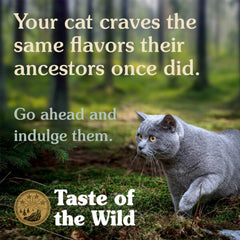 Rocky Mountain Feline Recipe 85gr