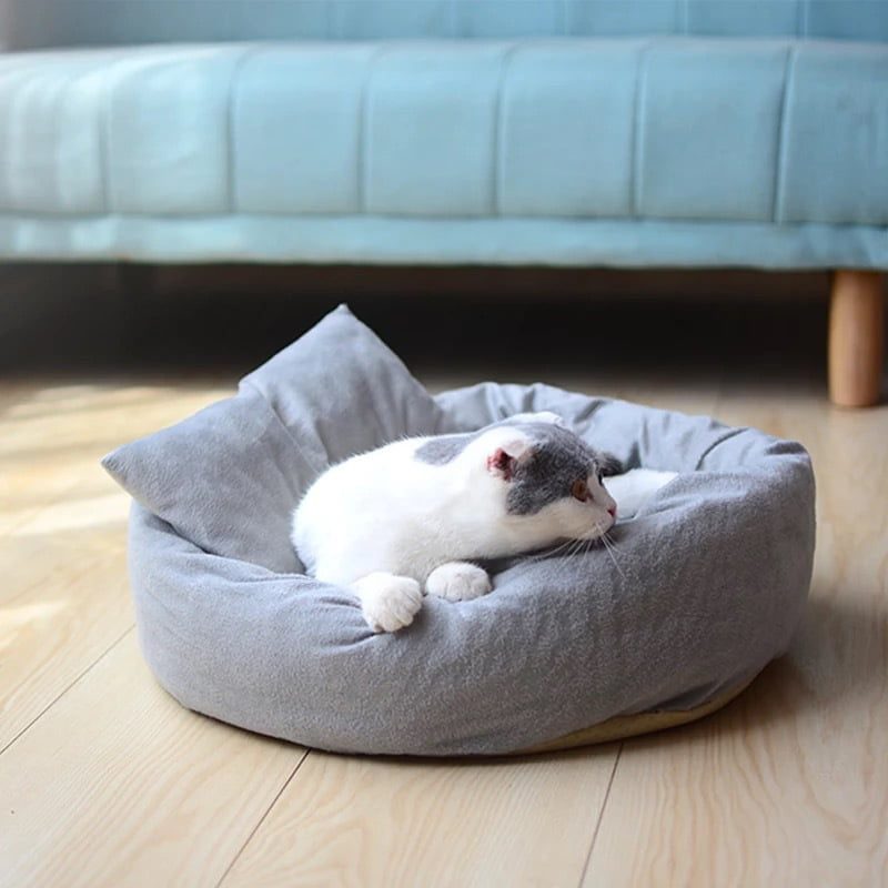Round Shape Dog And Cat Indoor Bed-48 cm (Diameter)