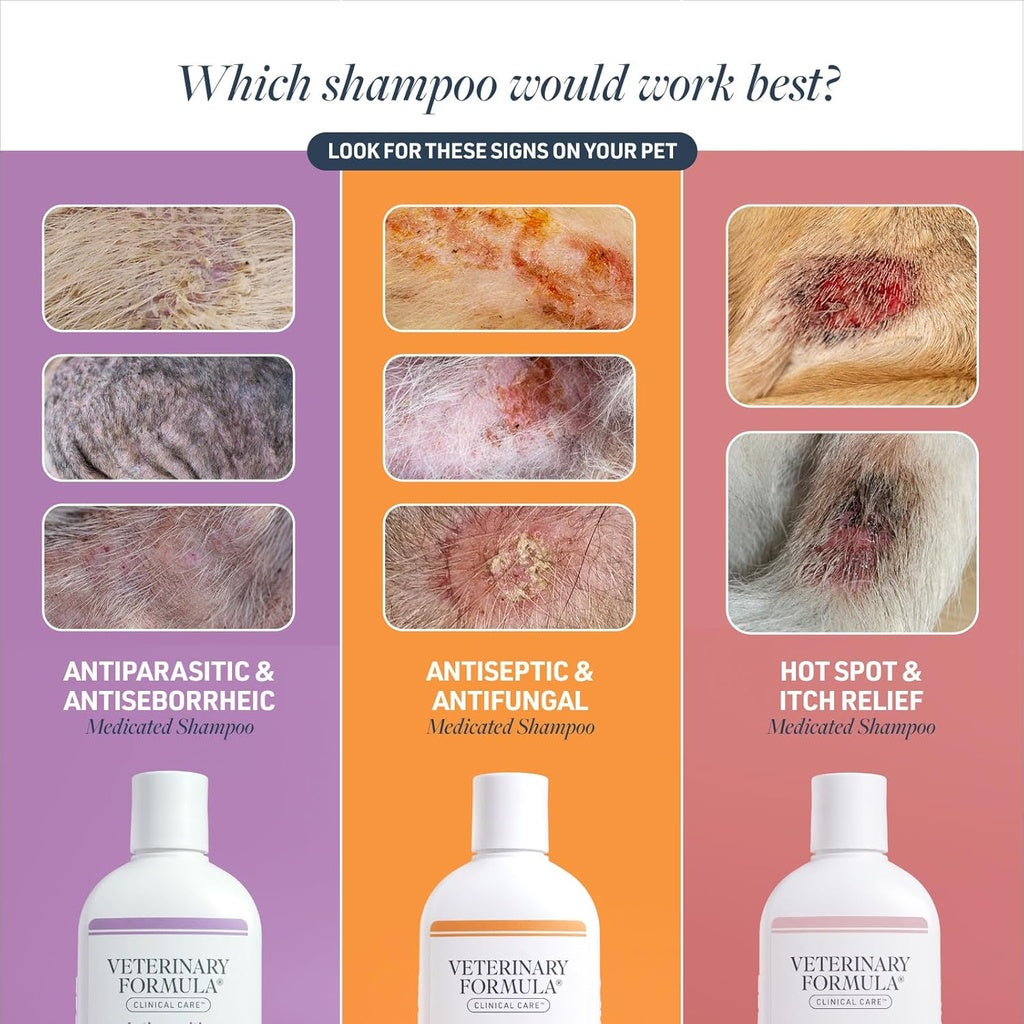Antiseptic & Antifungal Shampoo Dog & Cat
