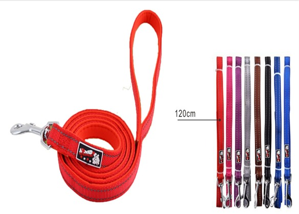 SAAS PET LEASH LARGE