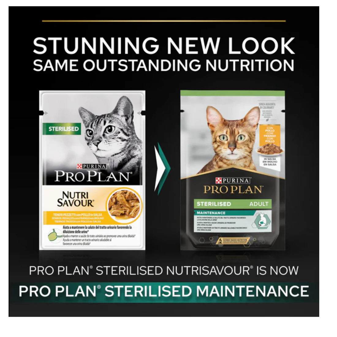 PRO PLAN STERILISED ADULT WET CAT FOOD WITH CHICKEN GRILLED IN GRAVY, 85G