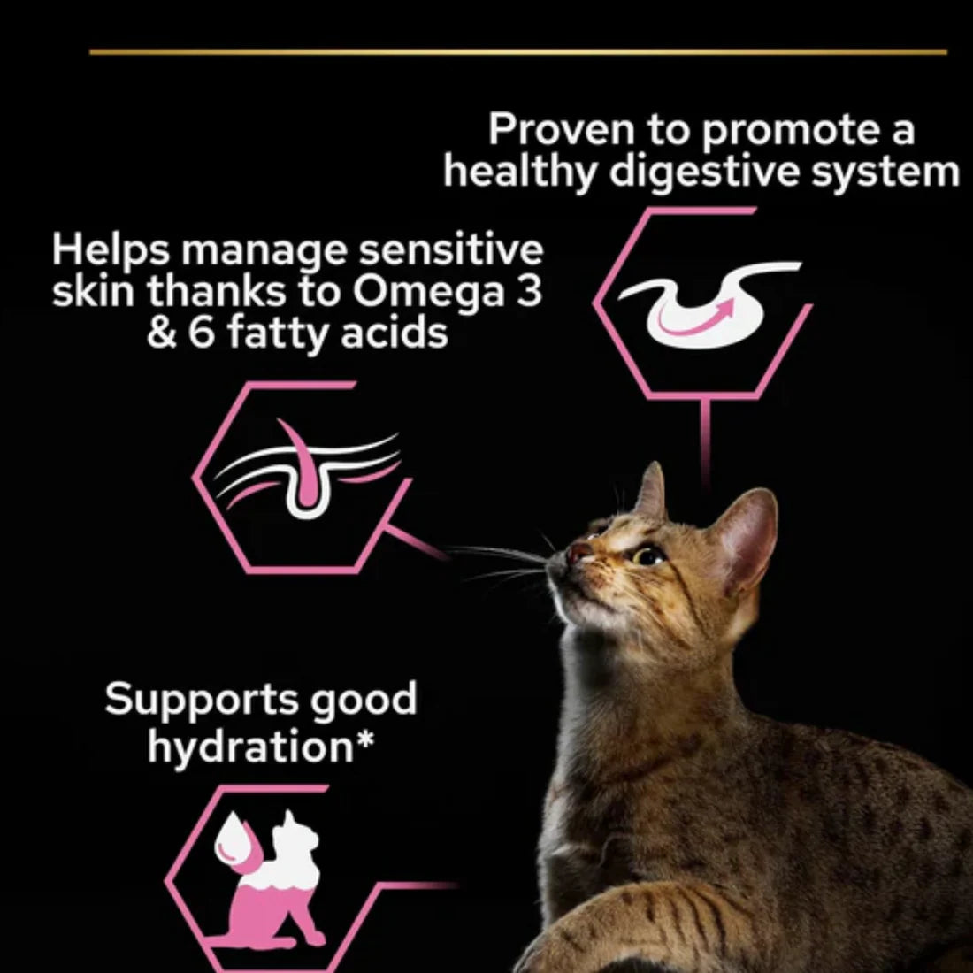 Pro Plan Delicate Cat Turkey 85g