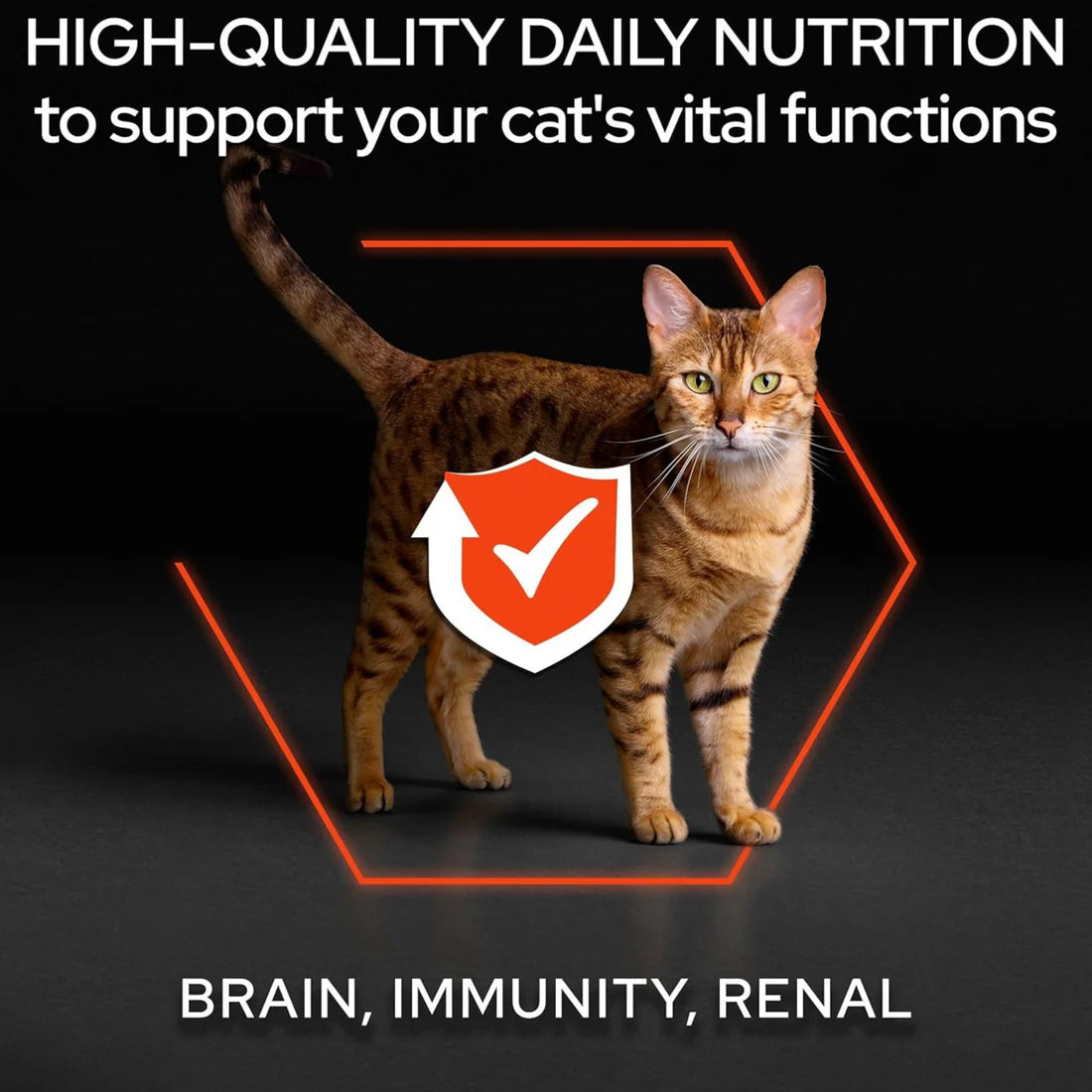 Pro Plan Vital Function Adult Cat Dry  Food Salmon 1.5kg